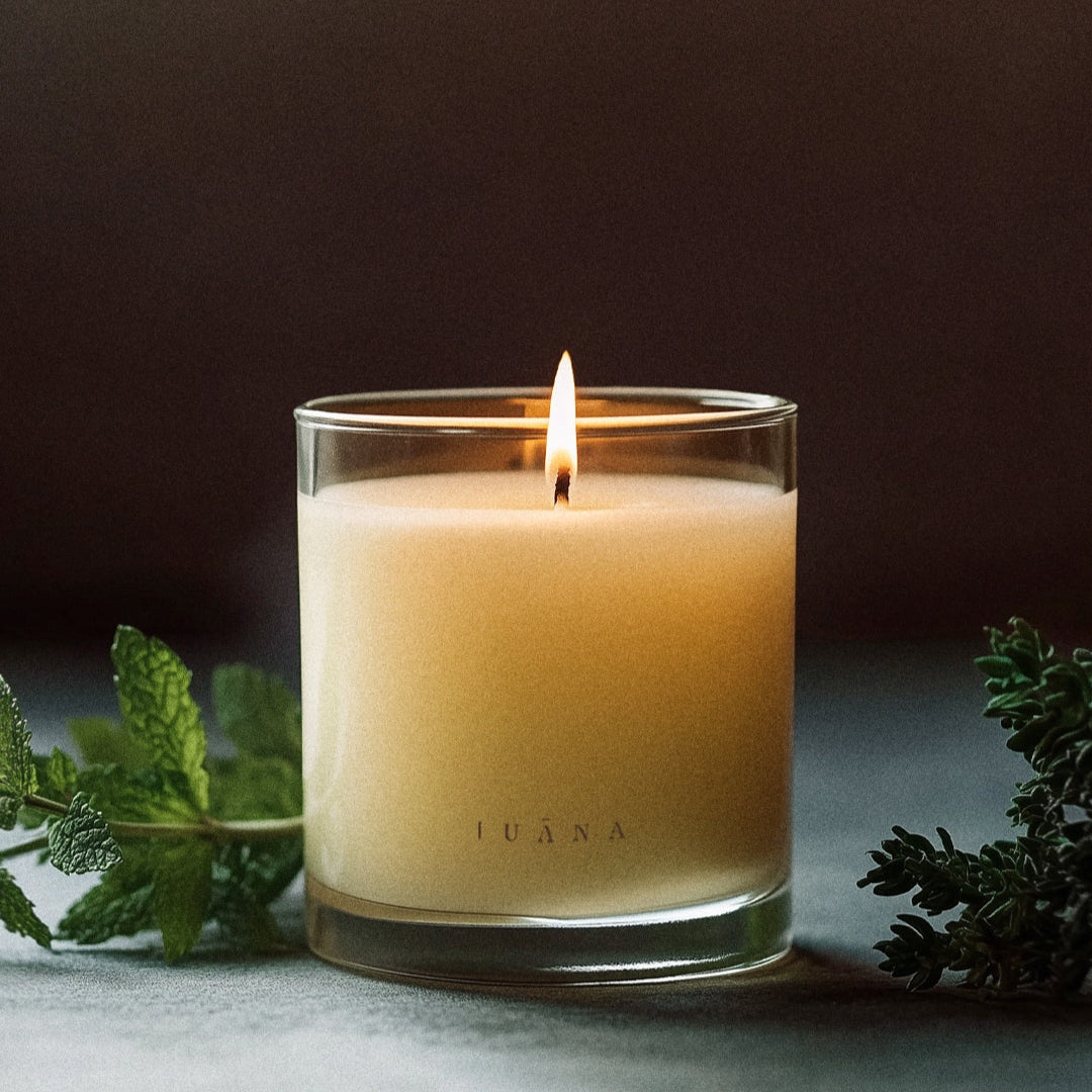 Candle R.N°43—Cypress + Mint