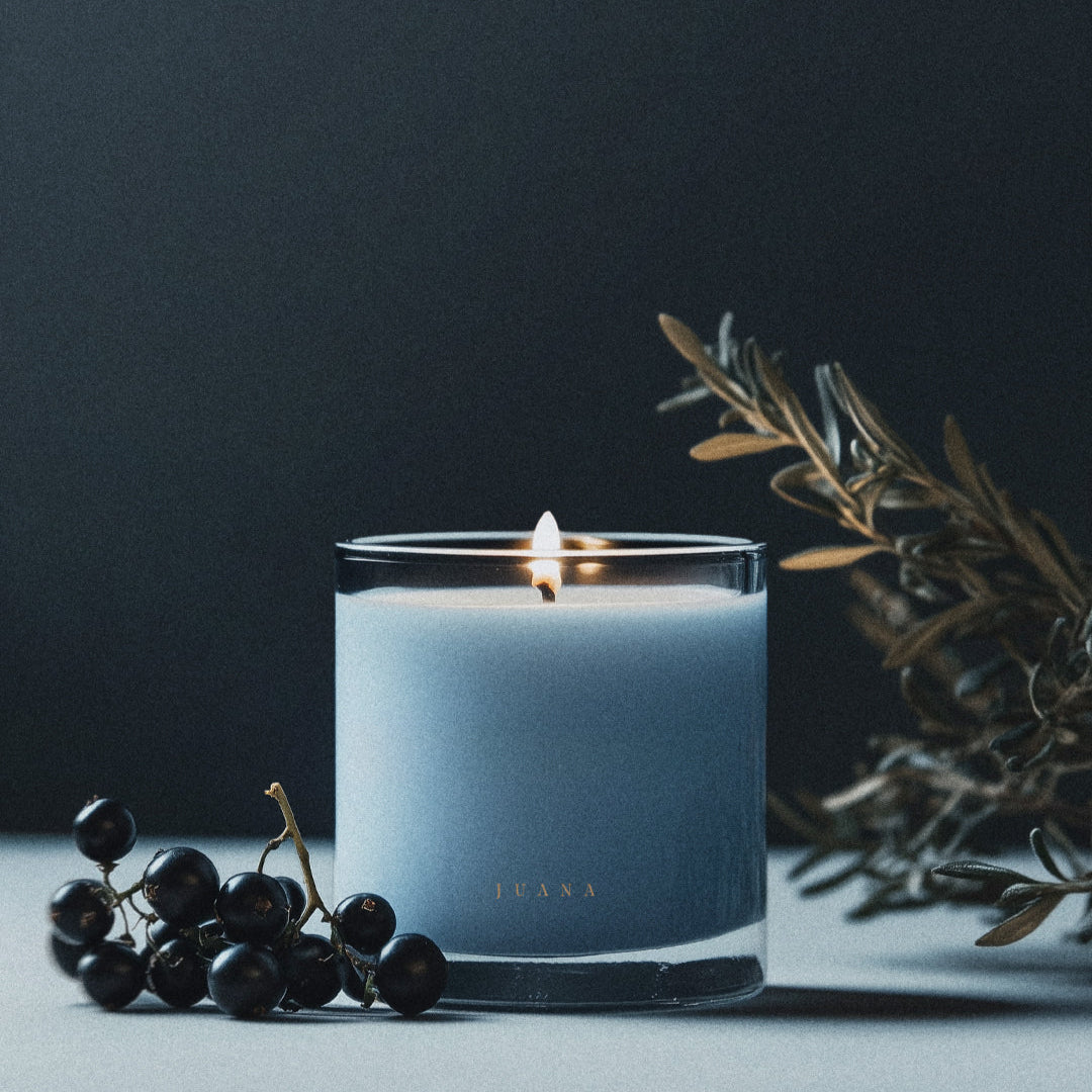 Candle F.N°12—Cassis +Rosemary