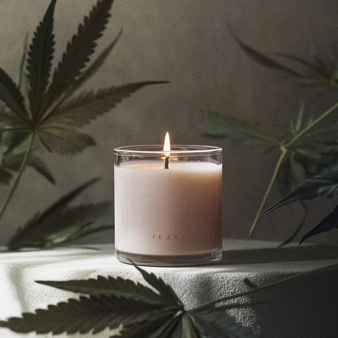 Candle S.N°21—Sandalwood +Hashish