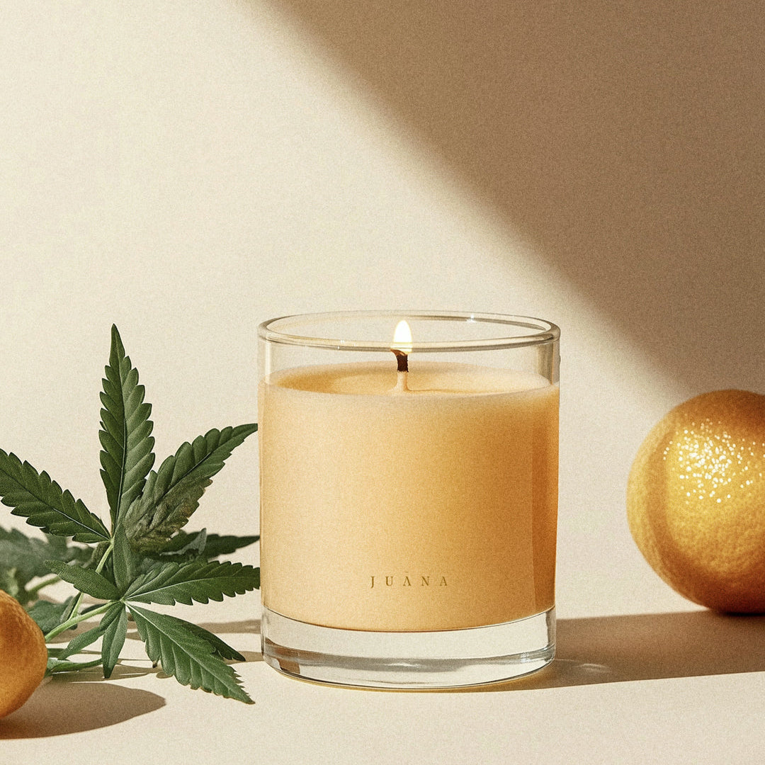 Candle U.N°54 —Bergamot + Sativa